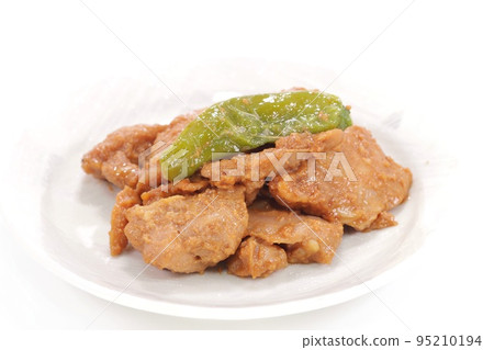 味噌烤雞雞肉菜明亮的背景 95210194