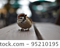 A sparrow standing on a bench 95210195