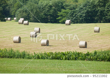 Summer Kushiro plain and barley roll 95211002