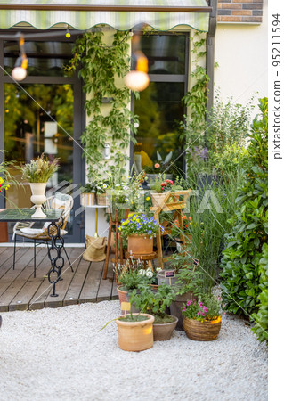 Cozy backyard with flowers and plants 95211594