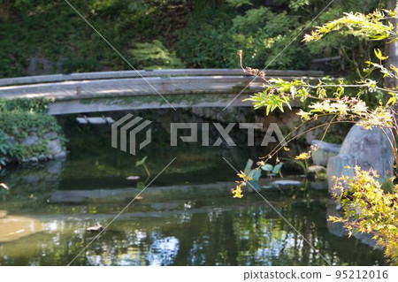 The pond in the garden of Kokura Castle Tourism photo material 2 95212016
