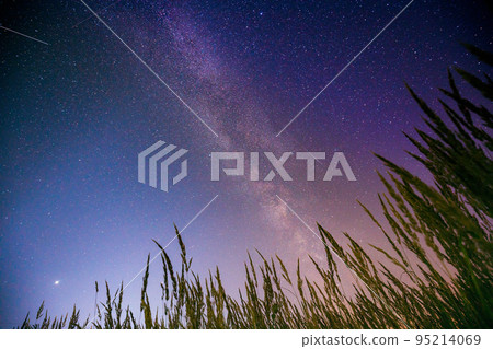 Bottom view of night starry sky from green grass in summer season. Night stars above meadow in august month 95214069