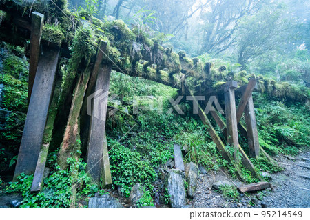 太平山 見晴古道 見晴懷古步道 小徑 Jianqing trail Taipingshan 太平山 見晴古道 見晴懷古步道 小徑 Jianqing trail Taipingshan 95214549