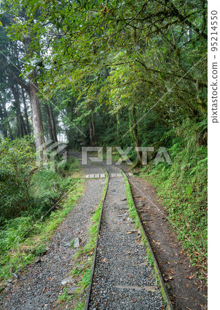 太平山 見晴古道 見晴懷古步道 小徑 Jianqing trail Taipingshan 太平山 見晴古道 見晴懷古步道 小徑 Jianqing trail Taipingshan 95214550