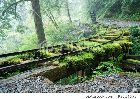 Taiping Mountain Jianqing Ancient Trail Taiping Mountain Jianqing Ancient Trail 95214553