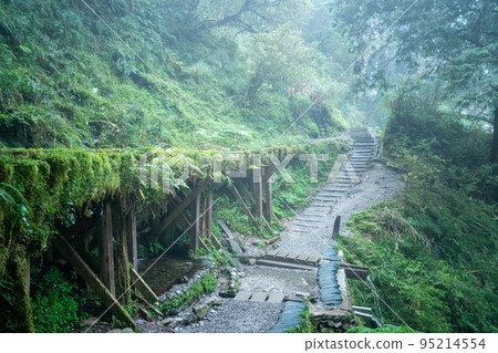 太平山 見晴古道 見晴懷古步道 小徑 Jianqing trail Taipingshan 95214554