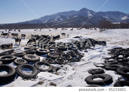 Suppressing preserved food in dent corn storage by reusing tires1 95215001