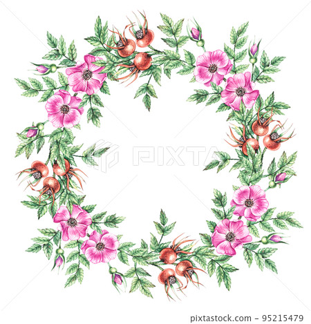 Watercolor rosehip wreath on a white background 95215479