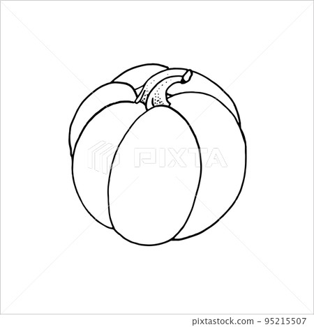 Pumpkin outline EPS Pumpkin outline EPS 95215507