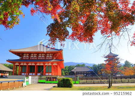 Nara Park (Nara City) Kofuku-ji Temple Autumn leaves near Chukondo Nara Park (Nara City) Kofuku-ji Temple Autumn leaves near Chukondo 95215962