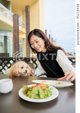 A woman spending time with her dog at a dog cafe A woman spending time with her dog at a dog cafe 95216446