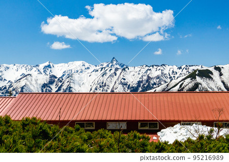 從長野縣的中念典越看北阿爾卑斯山的中念小屋和矢裡岳 95216989
