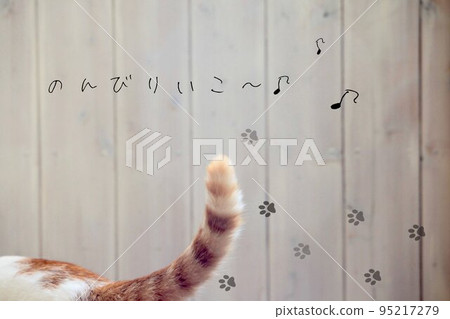 Cat's tail Cat's tail 95217279