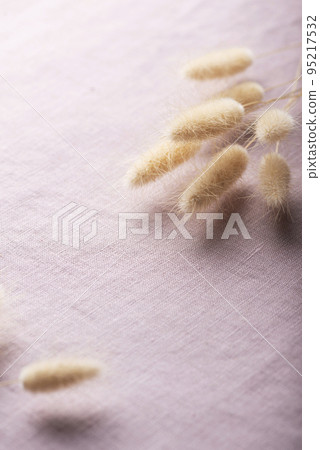 Dry Lagurus ovatus on the lilac linen fabric Dry Lagurus ovatus on the lilac linen fabric 95217532