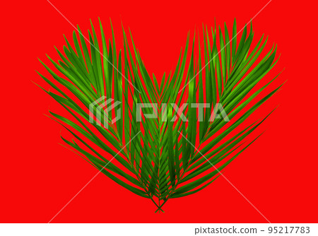 Beautiful heart designed with palm leaves, red background 95217783