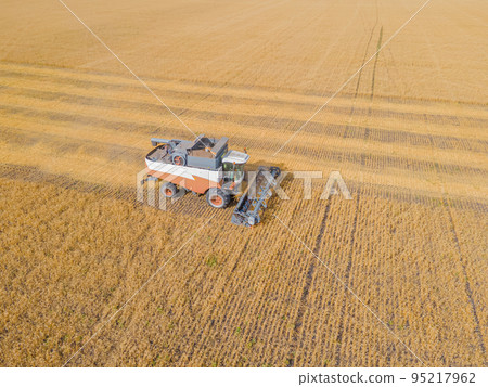 Harvest wheat grain and crop aerial view.Harvesting wheat,oats, barley in fields,ranches and farmlands.Combines mow in the field.Agro-industry.Combine Harvester Cutting on wheat filed.Machine harvest 95217962