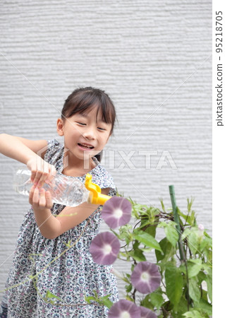 Elementary school girl cultivating morning glory 95218705
