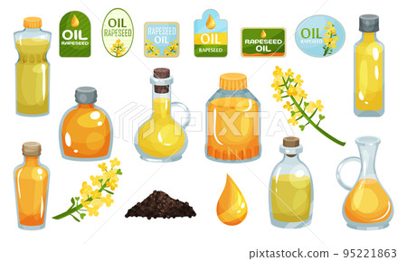 Rapeseed Oil in Bottle and Jar with Drop, Plant and Label Big Vector Set 95221863