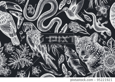 Tropical animals seamless pattern background design. Engraved style. Hand drawn leopard, snake, lizard, hummingbird, toucan, scarlet macaw, rajah brooke's birdwing, african giant swallowtail, monstera Tropical animals seamless pattern background design. Engraved style. Hand drawn leopard, snake, lizard, hummingbird, toucan, scarlet macaw, rajah brooke's birdwing, african giant swallowtail, monstera 95221921