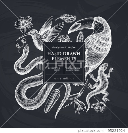 Tropical animals square card or invitation design. Frame design with snake, lizard, hummingbird, toucan, strelitzia, protea, phalaenopsis. 95221924