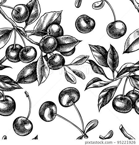 Gardening seamless pattern background design. Engraved style. Hand drawn cherry. 95221926