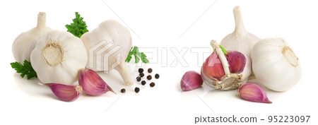 garlic with parsley leaf and peppercorn isolated on white background garlic with parsley leaf and peppercorn isolated on white background 95223097