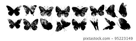 Silhouette of butterfly. Set of butterflies of different shapes. Monochrome vector illustration on white background. 95223149