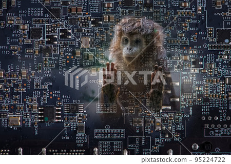 A monkey looks through transparent computer circuit board. Corporate social responsibility, IT ethics, evolution or computer addiction concept. A monkey looks through transparent computer circuit board. Corporate social responsibility, IT ethics, evolution or computer addiction concept. 95224722