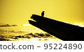Silhouette of a crow or raven  95224890