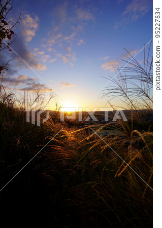 Autumn sunset and Susukinohara Autumn sunset and Susukinohara 95227834