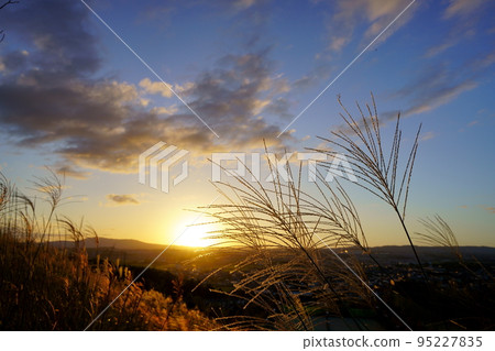 Autumn sunset and Susukinohara Autumn sunset and Susukinohara 95227835