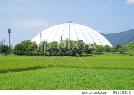 坐落在稻田中的出雲巨蛋的景色 95228308