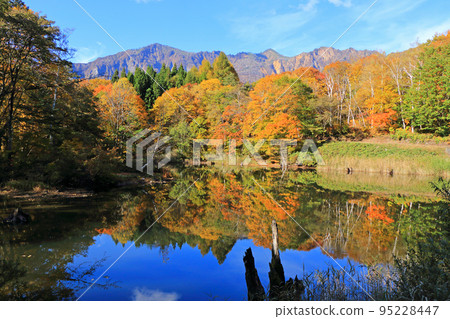 Autumn in Akiyamago Autumn in Akiyamago 95228447