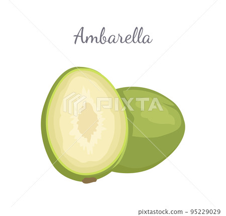 Ambarella Exotic Juicy Fruit Vector Isolated Icon 95229029