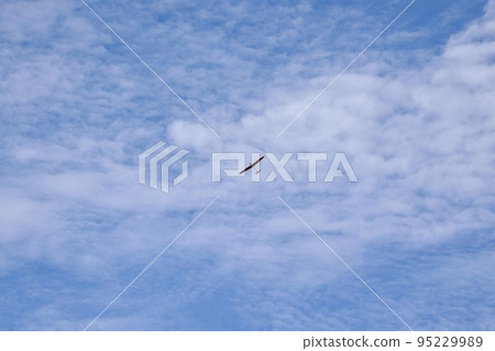 秋空滑翔機的愛好世界 秋空滑翔機的愛好世界 95229989