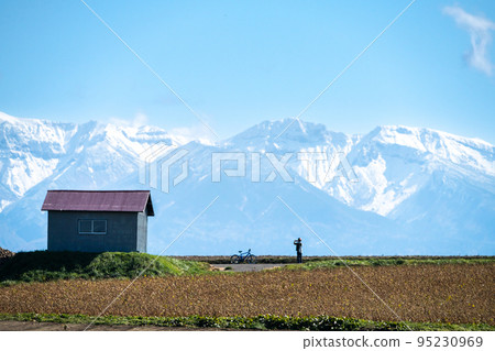 從美瑛看到的十勝聯邦和農田 95230969