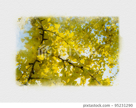 Gingko leaves dyed yellow, golden ginkgo trees with sunlight filtering through the trees 95231290