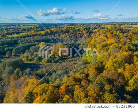 Aerial autumn landscape with colorful maple trees 95231900