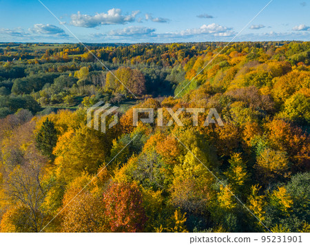 Aerial autumn landscape with colorful maple trees 95231901