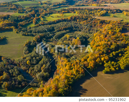 Aerial autumn landscape with colorful maple trees 95231902
