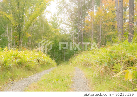 Hokkaido Ashibetsu City Canadian World Hokkaido Ashibetsu City Canadian World 95233159