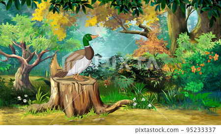 Wild duck in the forest illustration Wild duck in the forest illustration 95233337