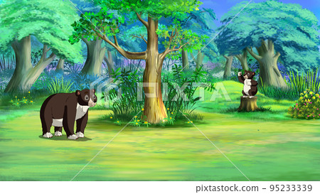 Bear in a forest illustration Bear in a forest illustration 95233339