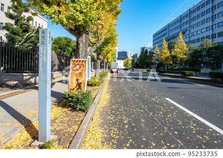 Fuyuzaka in Chiyoda Ward, Tokyo 95233735