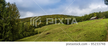 Polonyna Rosohata in Carpathian landscape, Hutsulshchyna National Park, Ukraine 95233748