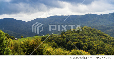 Polonyna Rosohata in Carpathian landscape, Hutsulshchyna National Park, Ukraine 95233749