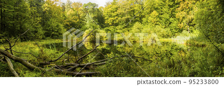 Lebedyn lake in the Carpathian, Hutsulshchyna National Park, Ukraine 95233800