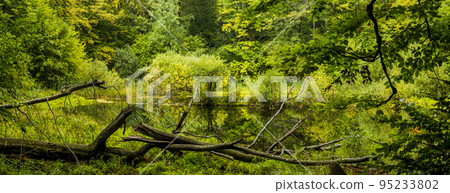 Lebedyn lake in the Carpathian, Hutsulshchyna National Park, Ukraine 95233802