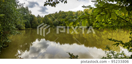 lake in the Carpathian forest, Hutsulshchyna National Park, Ukraine 95233806