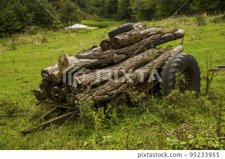 an old iron cart with freshly cut firewood an old iron cart with freshly cut firewood 95233955